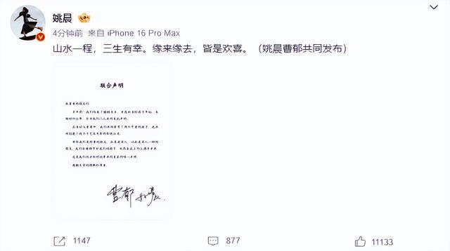 人民网评姚晨离婚声明：私事无需公开，借“官宣”之名谋取流量利益或致公共资源浪费
