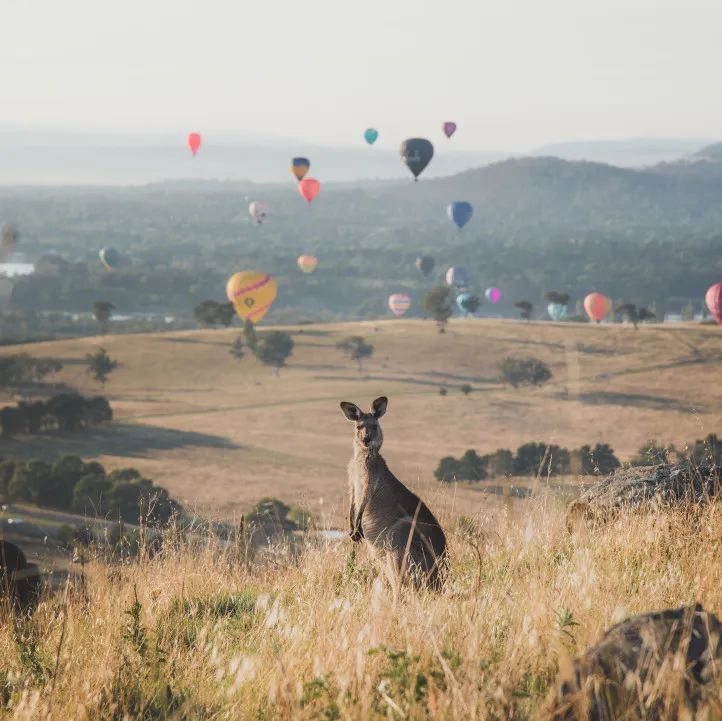 📷 / © VisitCanberra