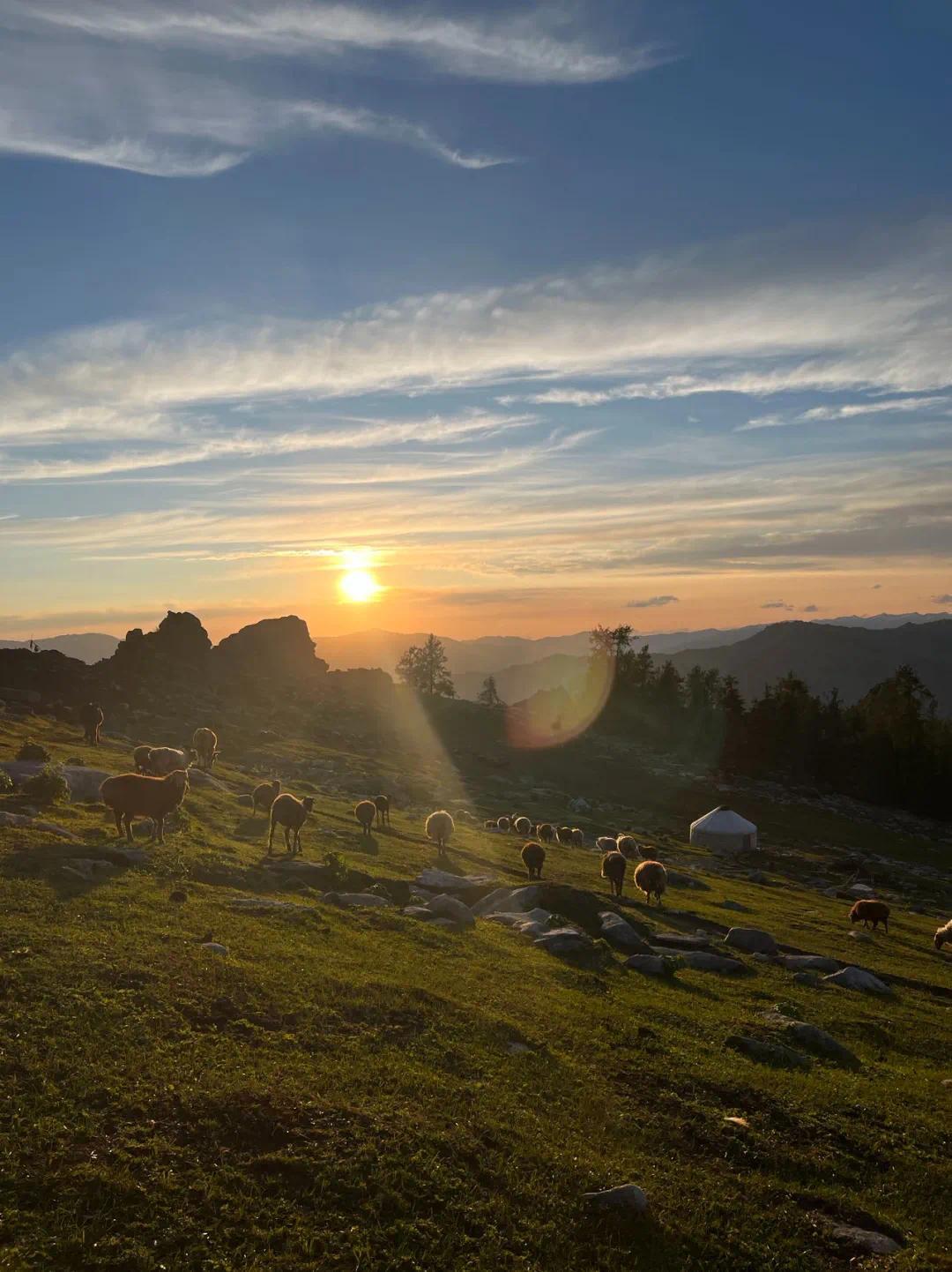 可可托海附近的草原。(图/受访者供图)