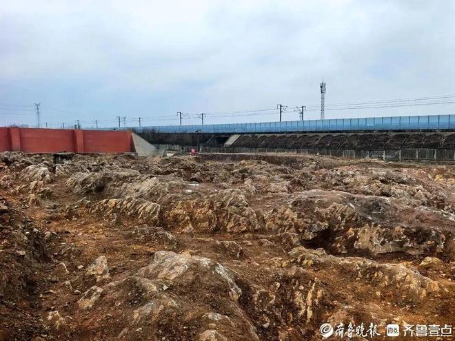 山东施工现场发现约5亿年前珍稀化石遗迹,专家团队展开深入调研确认详情