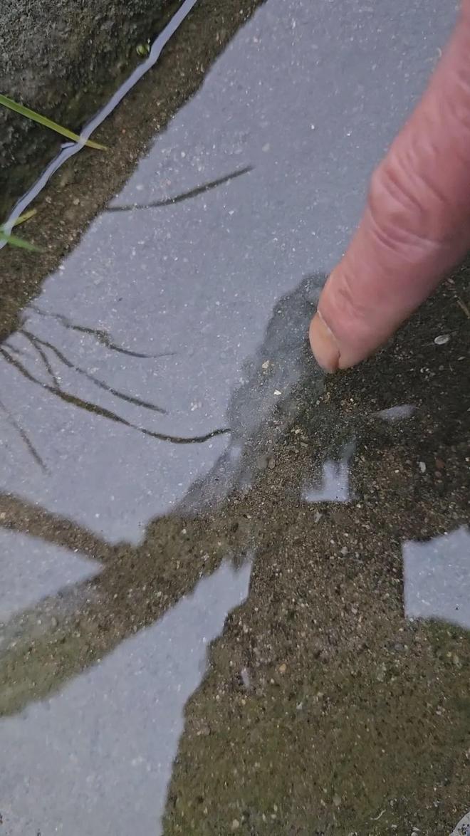 探访“鸭里有黄金”风波下的村镇:当地人讲述疯狂的“淘金往事”,私自淘金早已被禁止