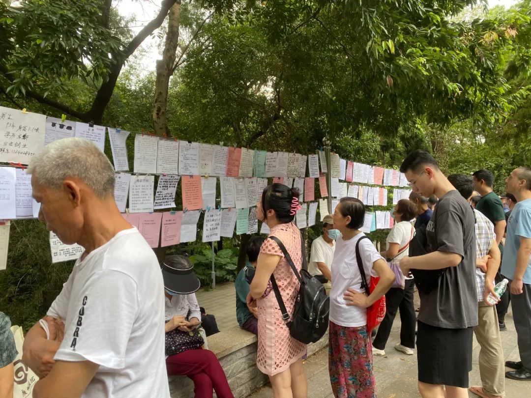 △一张张介绍信息,足够老人们驻足研究良久。(图/邹露摄)