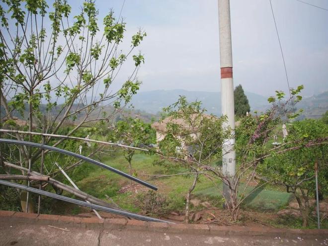 乡村旅游途中,骑友“抄近路”摔倒身亡,从事旅游开发的村是否要担责?