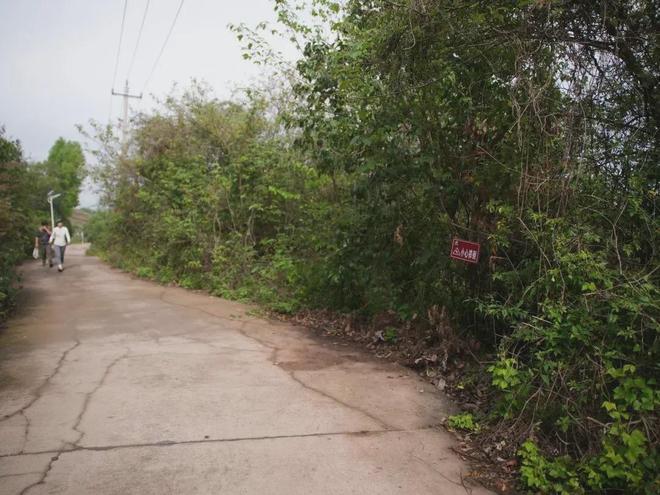 乡村旅游途中,骑友“抄近路”摔倒身亡,从事旅游开发的村是否要担责?