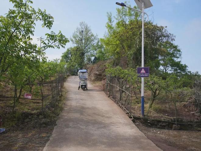 乡村旅游途中,骑友“抄近路”摔倒身亡,从事旅游开发的村是否要担责?