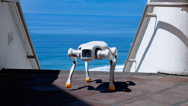 FF四足机器人获美销售资格 明年产销量预计达千台