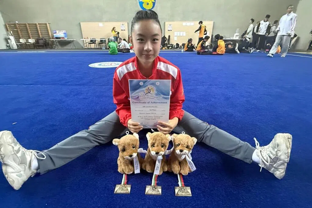 新加坡队在太极拳世锦赛上斩获佳绩 七枚金牌三银六铜刷新纪录