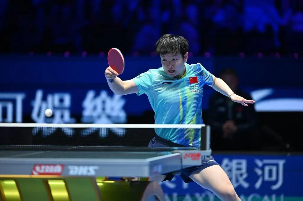 王楚钦与孙颖莎奋力闯入澳门乒乓球世界杯半决赛