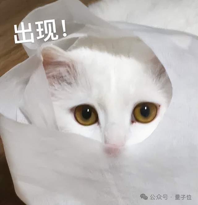 面壁智能发布MiniCPM-o 4.5：消费级显卡轻松驾驭高性能计算任务