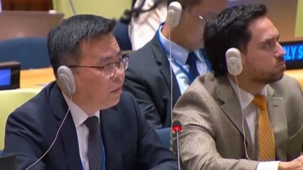 中国裁军大使就敏感核材料问题指评论日