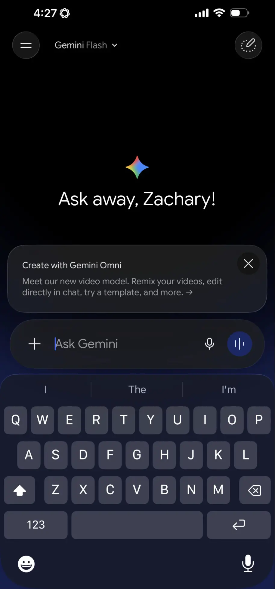 得到意外访问的 Gemini 截图