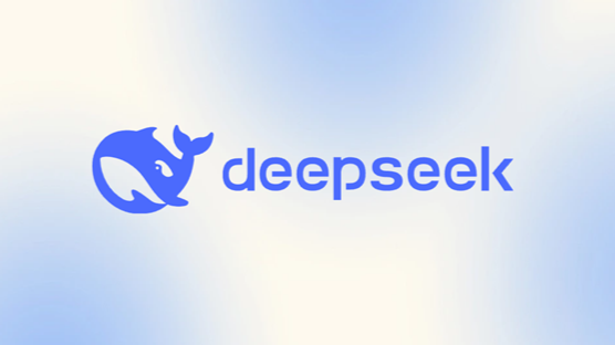DeepSeek首轮募资或超450亿，国家队资金鼎力支持