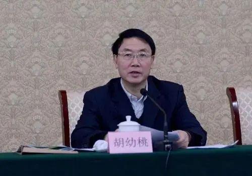  受贿数额特别巨大 江西省政协原党组成员、副主席胡幼桃被提起公诉