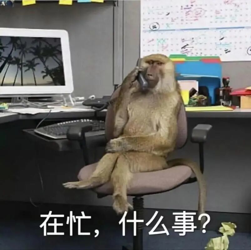 一夜之间,吗喽占领了年轻人的生活圈,吗喽表情包,直播和整蛊歌曲爆红