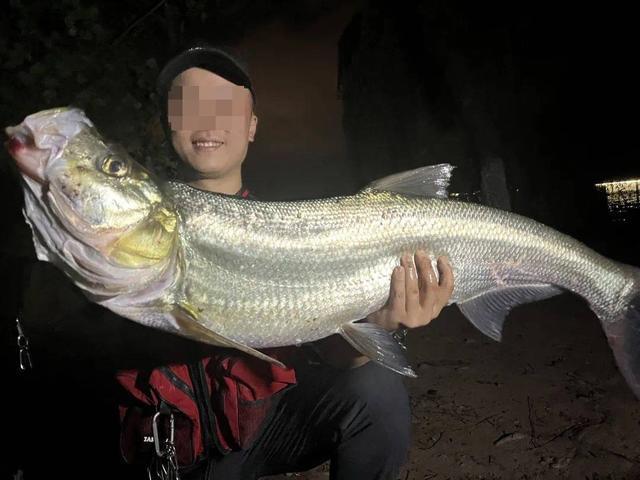 生态治理还是高价钓鱼?西昌邛海4000元钓鱼年卡引质疑 律师:如此收费无法律依据