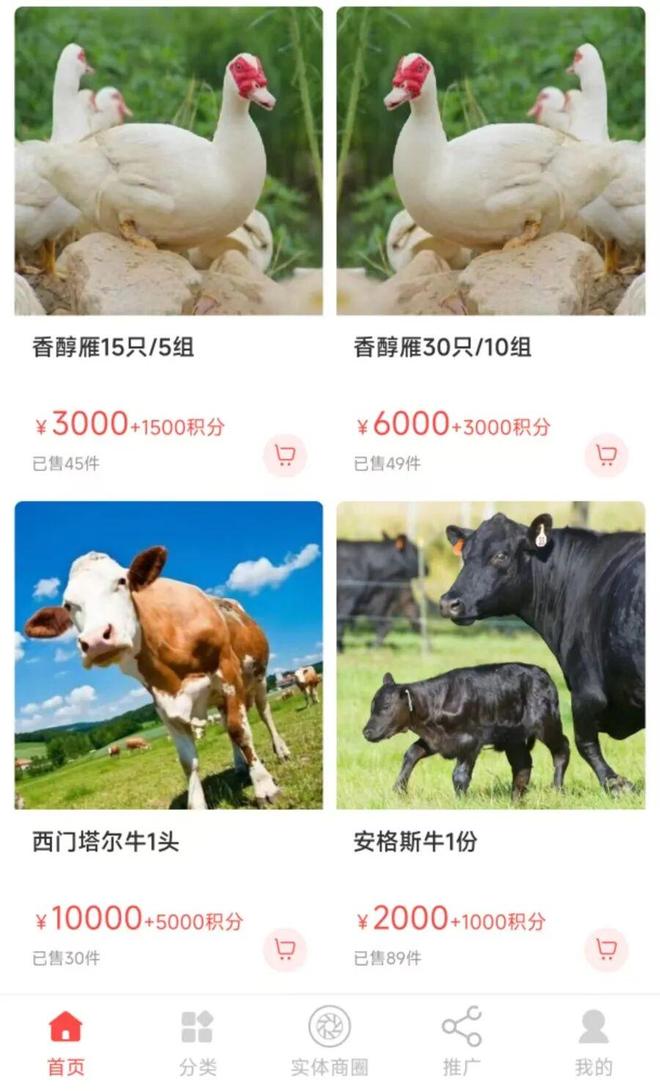 上海180多名老年人被骗，不乏大学教授！4人被刑拘，涉案金额210余万元，警方拆解诈骗套路：眼见已不一定为实