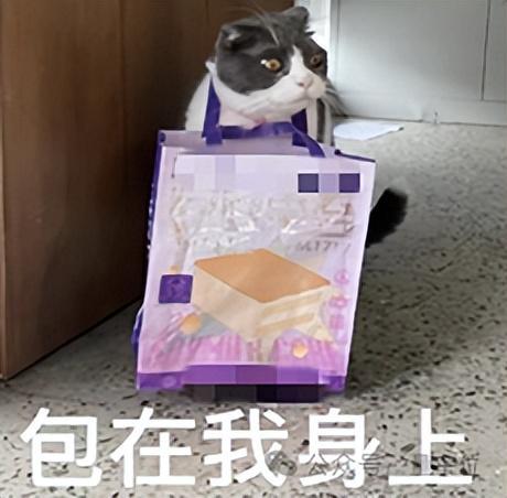 Need is all you need:AI接手Coding后,程序员最值钱能力只剩?
