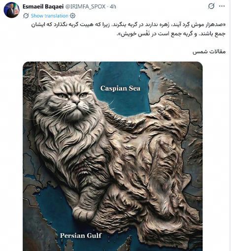 “十万鼠辈，终将溃散” 伊朗外交部用鼠猫形容敌我
