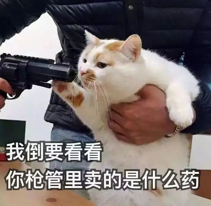这部十月新番的骚操作简直是闻所未闻!