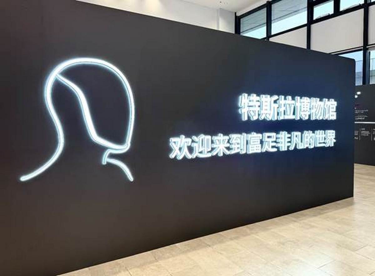 Tesla Bot走进家庭:一场由AI驱动的“富足革命”正在敲门