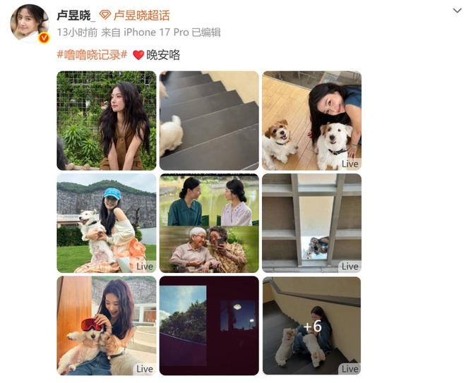 女星卢昱晓发布《给阿嬷的情书》屏摄引争议，本人发文道歉：伤害电影创作者心血，已深刻认识到问题严重性；电影票房已破4亿