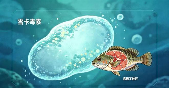 浙江男子几口下肚,痛到崩溃!“当时觉得特别鲜”,医生:别拿命赌,有毒,没有特效解药